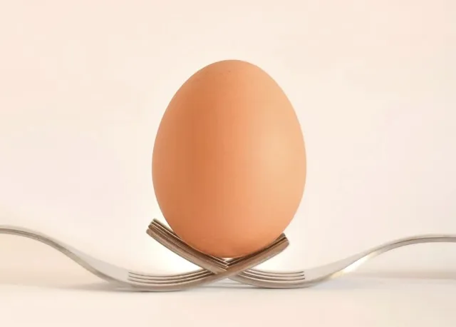 les oeufs