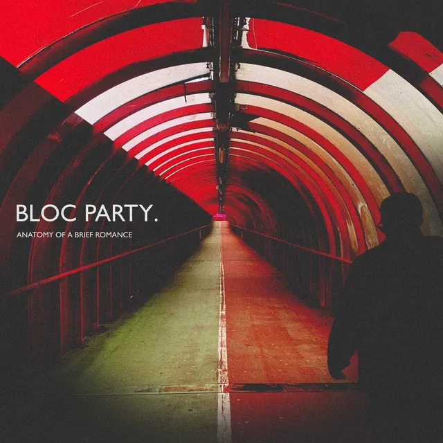 Pochette de l'album Anatomy of a Brief Romance de Bloc Party