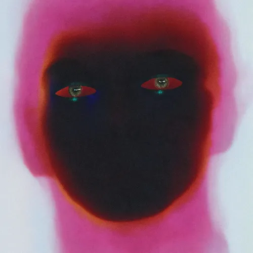Pochette de l'album W.O.W.A de Ghinzu, visage stylisé aux couleurs thermiques rose et noir