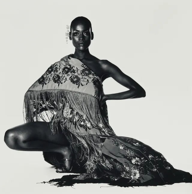 Photographie noir et blanc d'Irving Penn: un mannequin en robe brodée à franges, assis sur fond clair, exposé à la MEP
