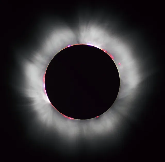 Éclipse solaire totale : la couronne du Soleil et des protubérances roses autour du disque noir de la Lune