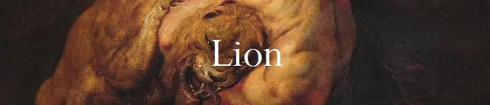 lion