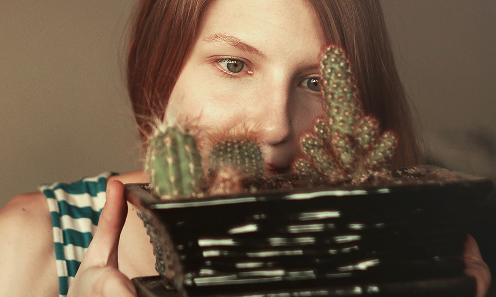 Et si on tentait la salade de Cactus ?