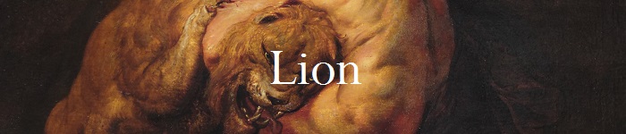 lion