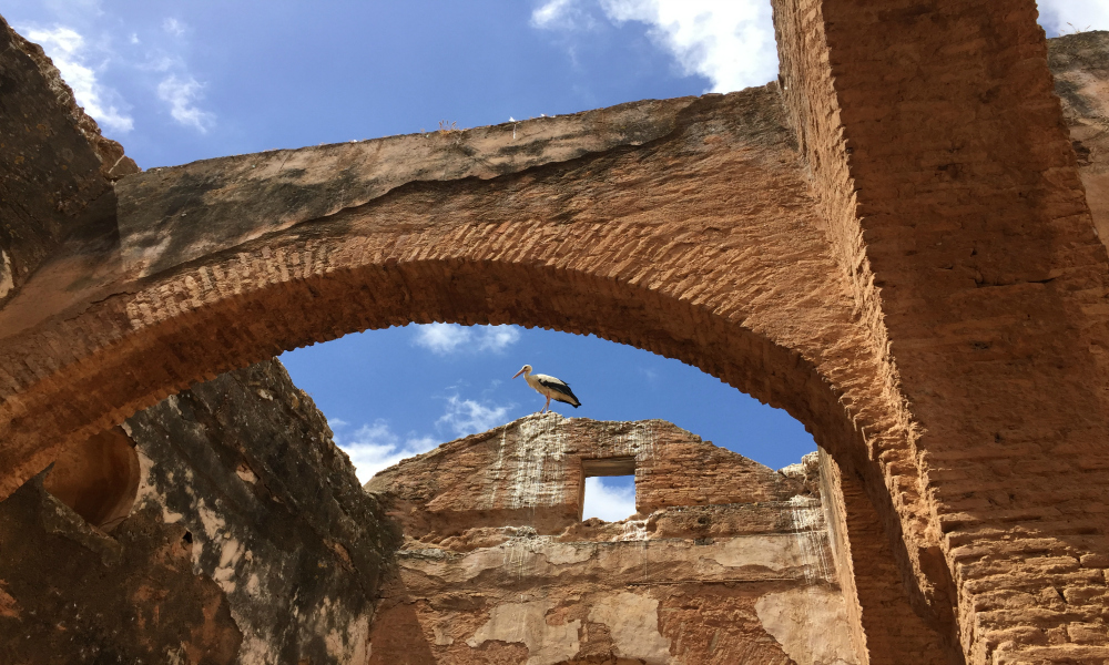 Rabat : 5 lieux à visiter