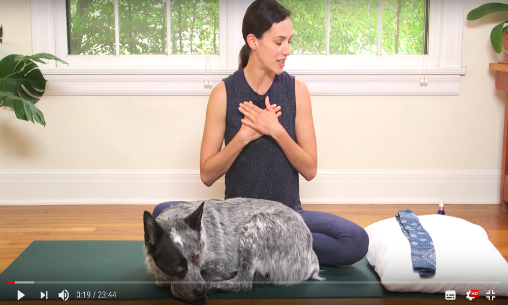 5 cours de yoga pour guérir (de tout)