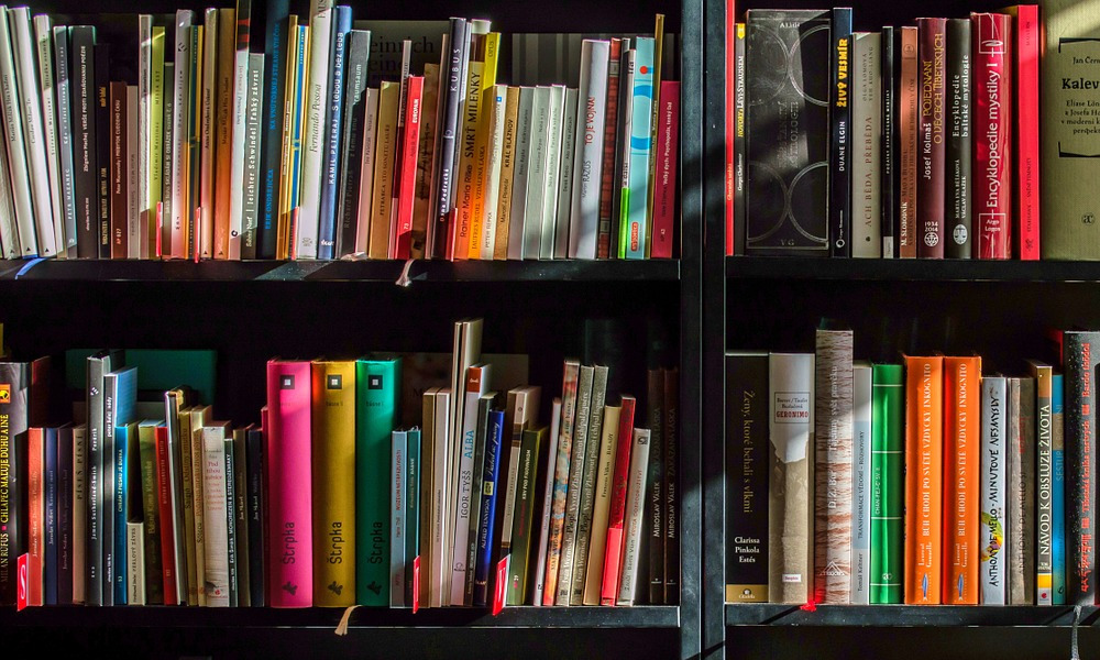 Petites suggestions de libraire (pour les jeunes lecteurs)