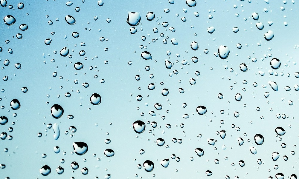 Dis-moi Berthine, pourquoi est-ce que l'eau mouille?