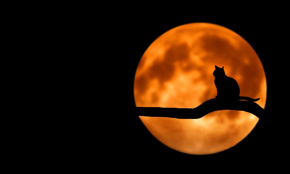 Menstrues et cycles de la lune — Les archétypes lunaires