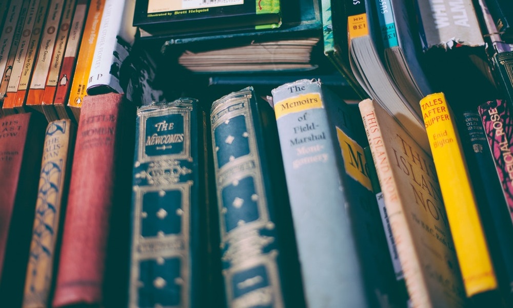 This article is not a book critic.
