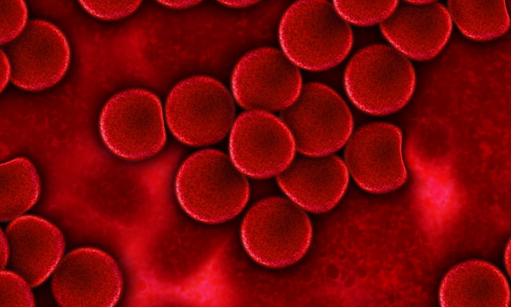 De la nécessité du congé menstruel