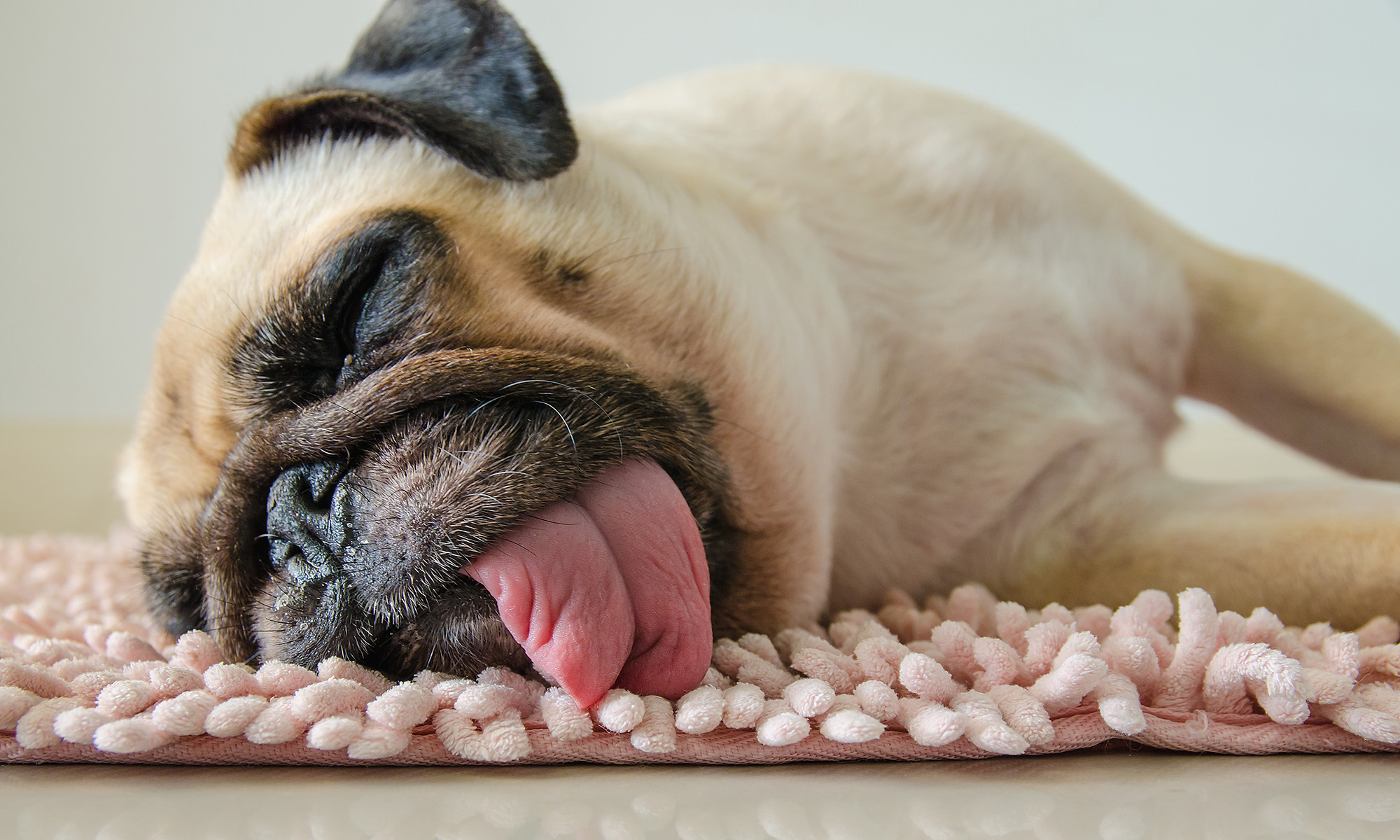 Comment bien récupérer d'un jetlag ?