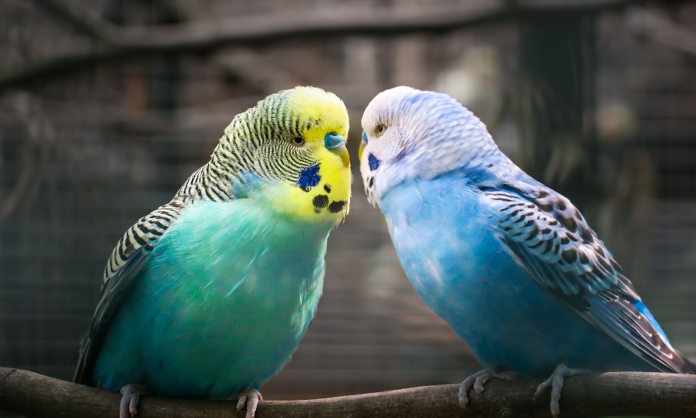 Comment construire une vie de couple harmonieuse...