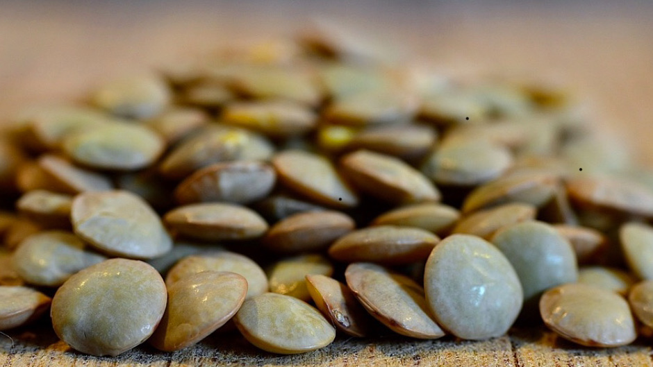 Snacks d’été aux lentilles