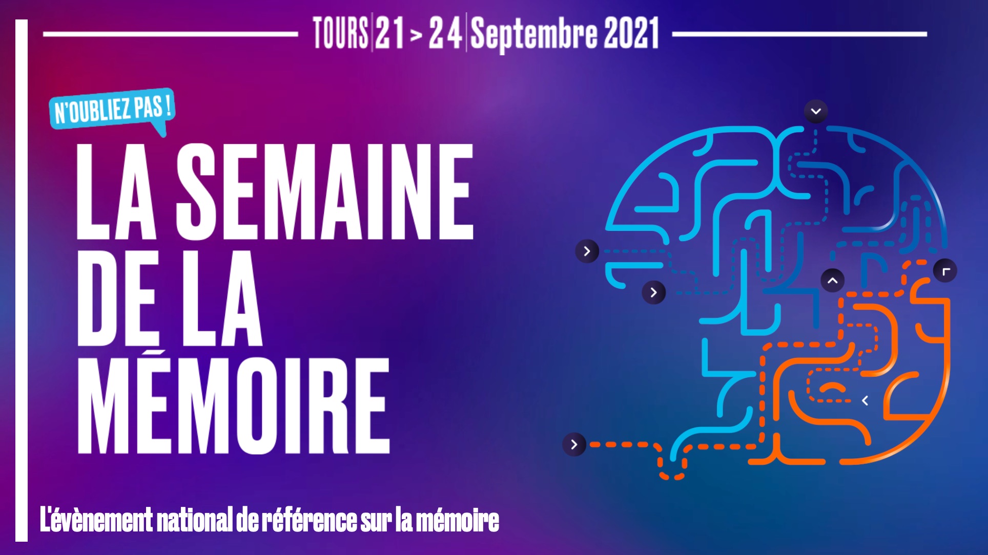 Semaine de la mémoire : le scientifiques à portée de cerveau !
