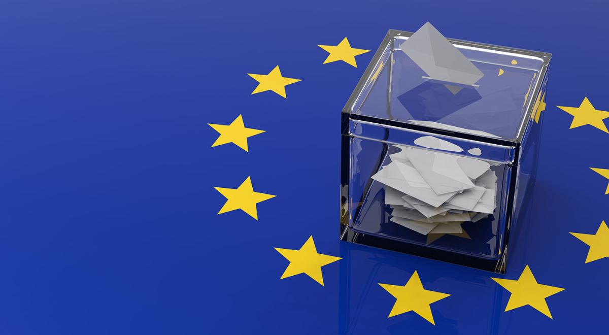 Les élections Européennes ça sert à quoi ?