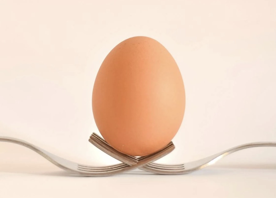 les oeufs