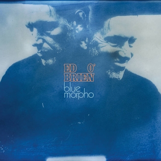 Pochette de l'album Blue Morpho d'Ed O'Brien, double portrait du musicien en bleu