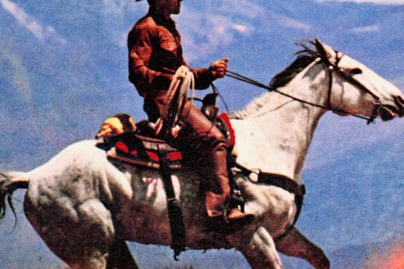 Pochette de l'album Reality Awaits des Strokes : un cowboy au galop sur un cheval blanc dans un paysage de montagnes