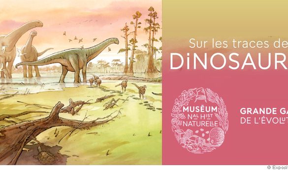 Affiche de l'exposition Sur les traces des dinosaures : des sauropodes au bord de l'eau au Cretace, Grande Galerie de l'Evolution