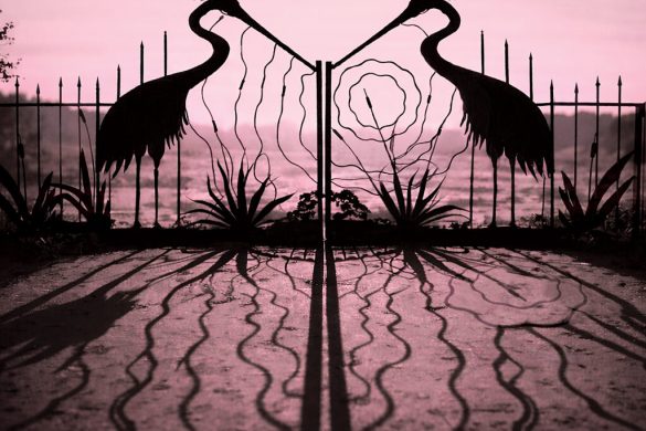 Pochette de l'album Soft Control des Afghan Whigs : silhouettes de hérons sur une grille en fer forgé, ciel rose
