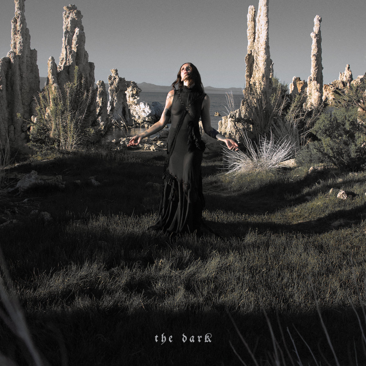 Pochette de l'album The Dark de Chelsea Wolfe : la musicienne en robe noire, bras ouverts, au milieu de formations rocheuses désertiques au bord d'un lac