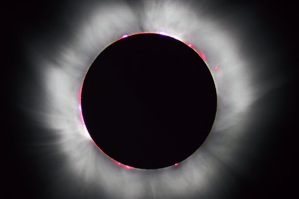 Éclipse solaire totale : la couronne du Soleil et des protubérances roses autour du disque noir de la Lune