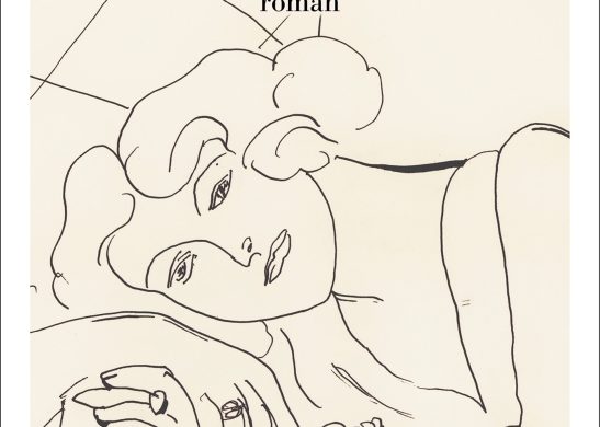 Couverture du roman Une histoire d'amours de Serge Joncour (Albin Michel)