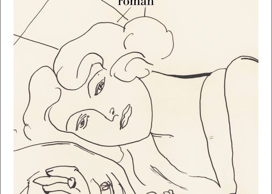 Couverture du roman Une histoire d'amours de Serge Joncour (Albin Michel)
