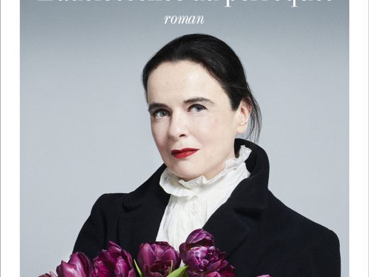 Couverture du roman L'adolescence du perroquet d'Amélie Nothomb (Albin Michel)