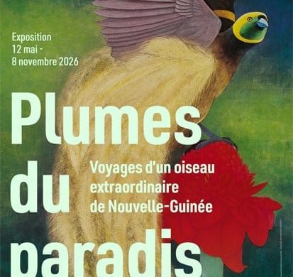 Affiche de l'exposition Plumes du paradis au musée du quai Branly, avec un oiseau de paradis aux couleurs vives