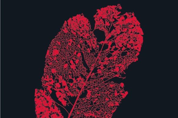 Couverture du livre Autobiographie du rouge d'Anne Carson, éditions L'Arche