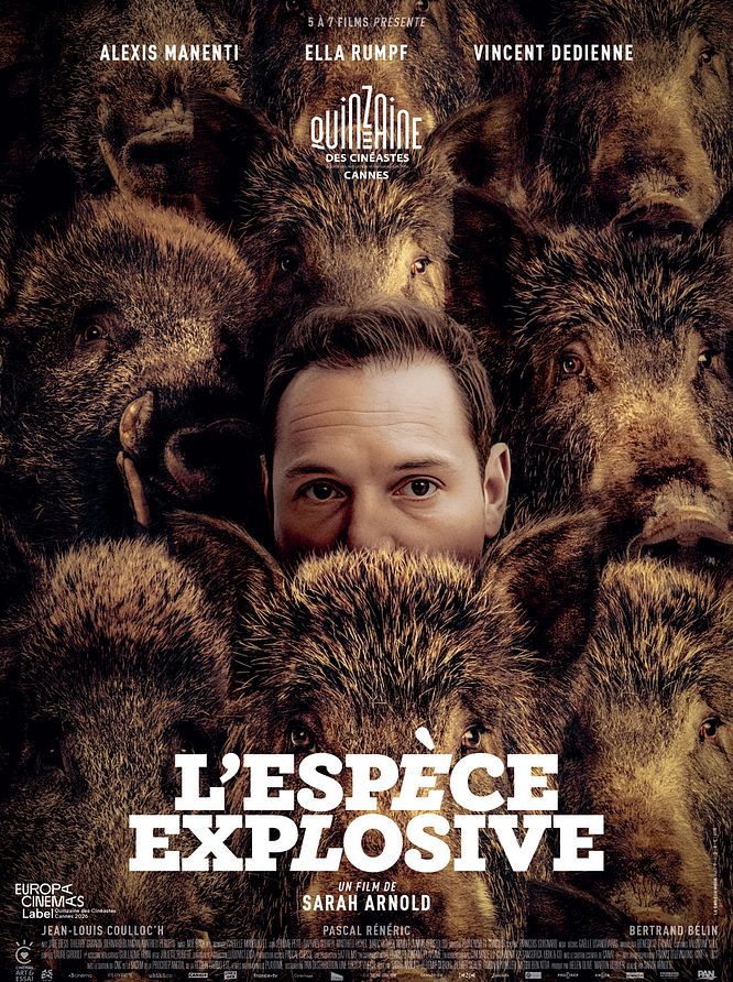 Affiche du film L'Espèce explosive de Sarah Arnold, un visage d'homme cerné de sangliers